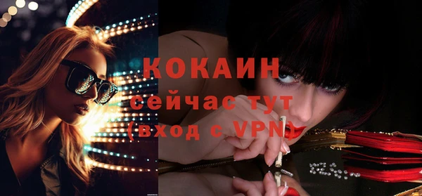 индика Баксан
