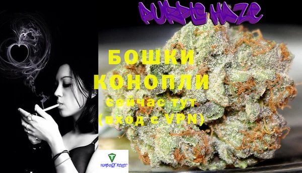 индика Баксан
