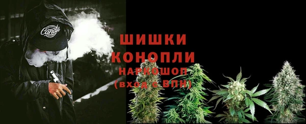 индика Баксан