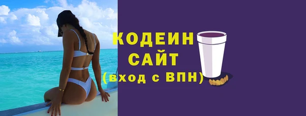 индика Баксан