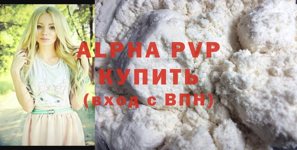 индика Баксан