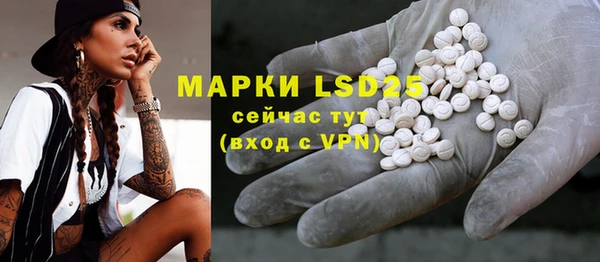 индика Баксан