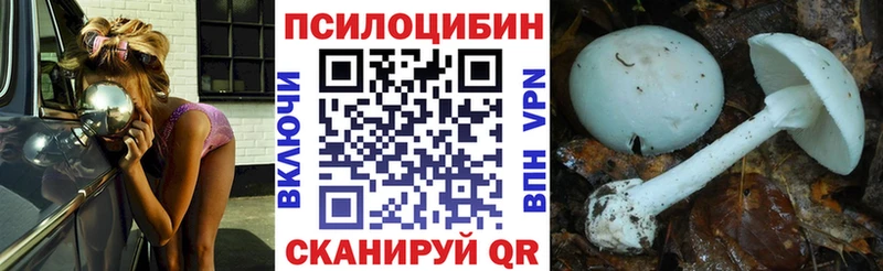 кракен ONION  купить закладку  Новосиль  Псилоцибиновые грибы Psilocybe 
