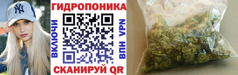 Бошки Шишки White Widow  Новосиль 